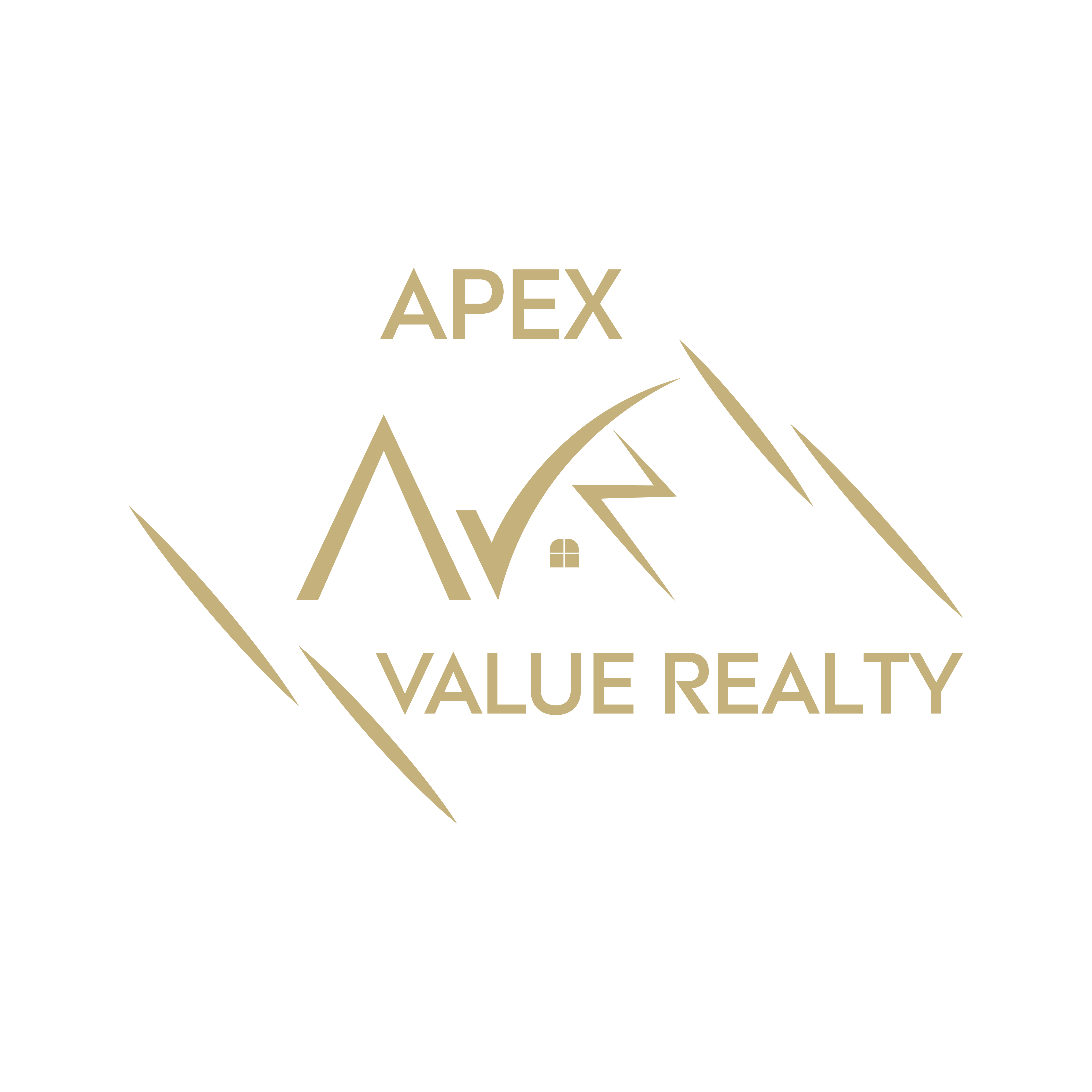 AVP Logo